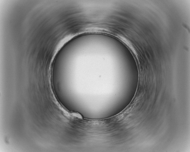 X0000098111437200804181440