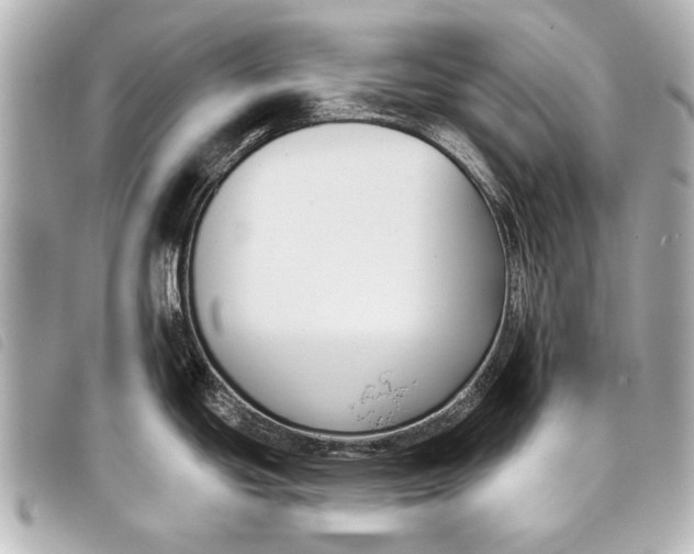 X0000098111439200804181440