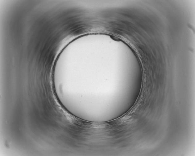 X0000098111440200804181440