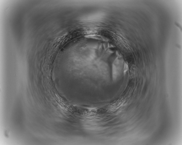 X0000098111441200804181439
