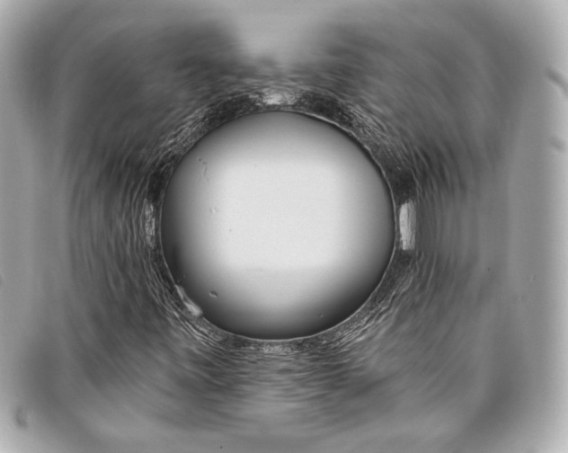 X0000098111443200804181439