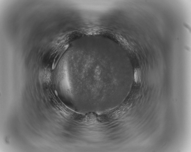 X0000098111444200804181439