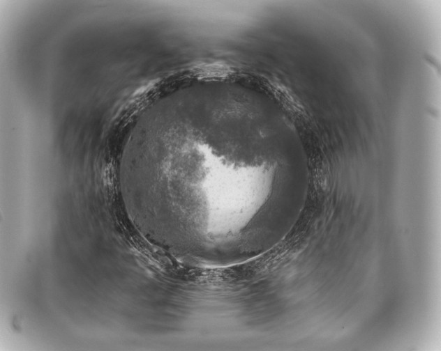 X0000098111445200804181439