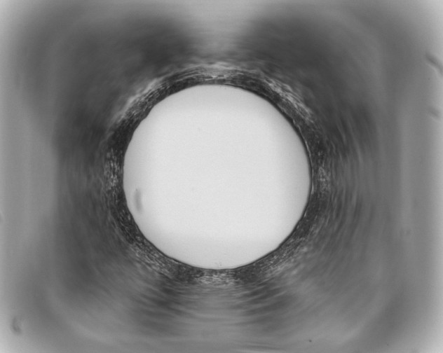 X0000098111447200804181439