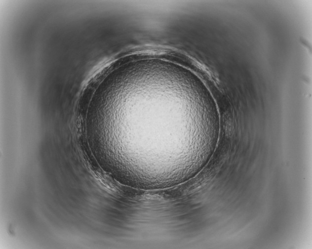 X0000098111448200804181439