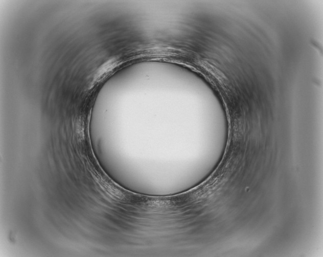 X0000098111451200804181439