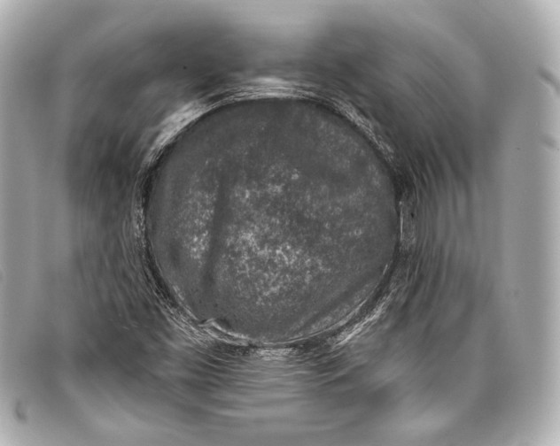 X0000098111453200804181439