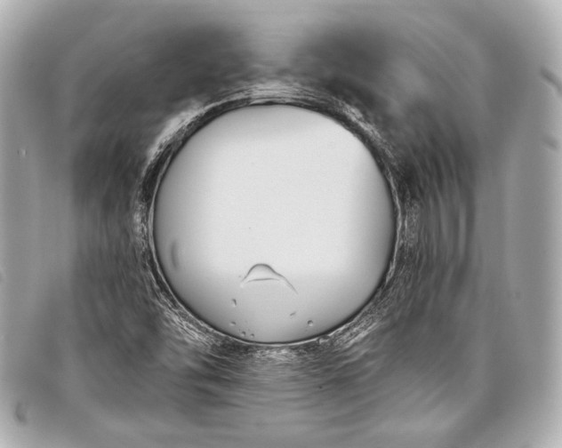 X0000098111454200804181439