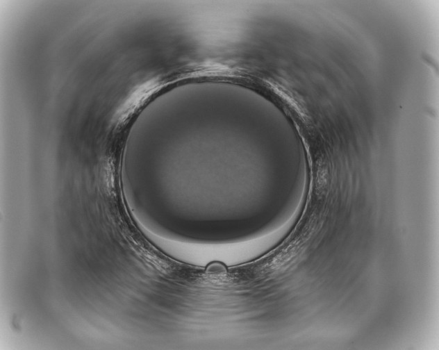 X0000098111455200804181439