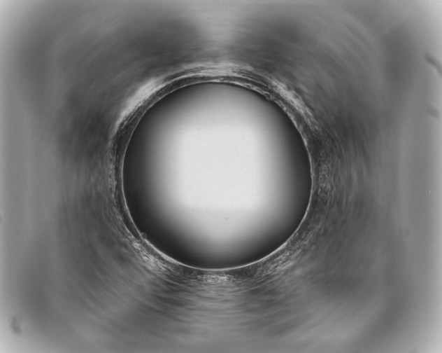 X0000098111456200804181439
