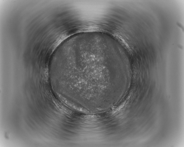 X0000098111457200804181439