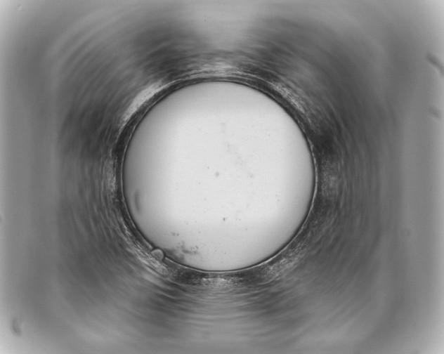 X0000098111458200804181439