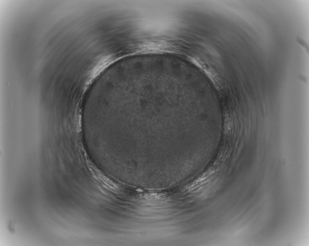 X0000098111459200804181439