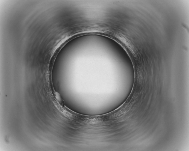X0000098111460200804181439