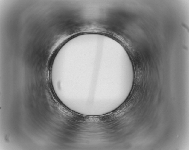 X0000098111462200804181439