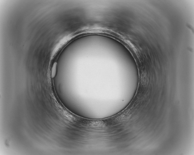 X0000098111464200804181439