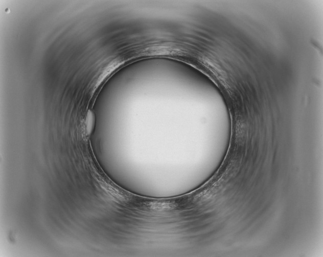 X0000098111465200804181439