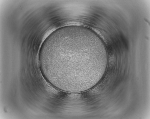 X0000098111466200804181439