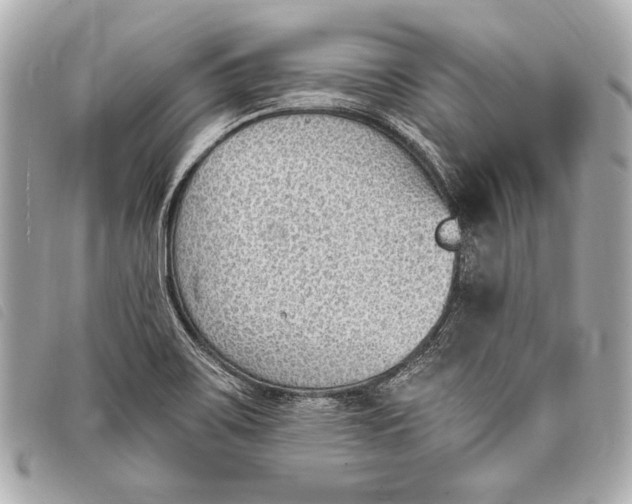 X0000098111467200804181439