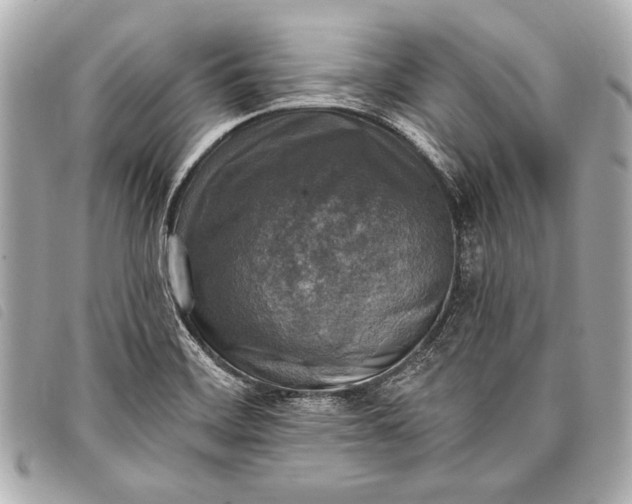 X0000098111468200804181439