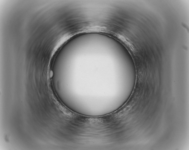 X0000098111469200804181439