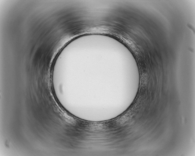 X0000098111470200804181439