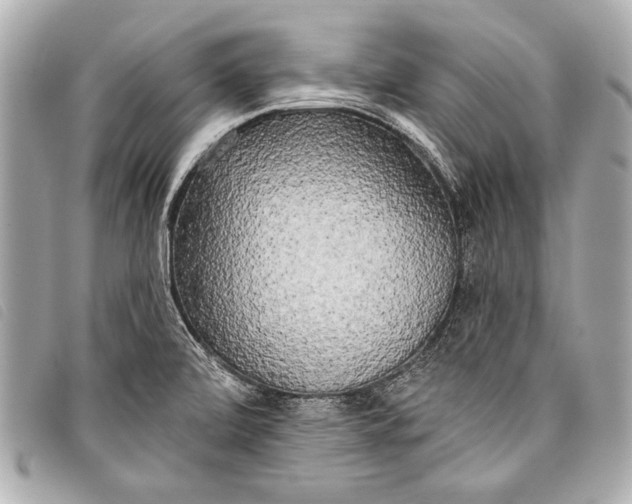 X0000098111472200804181439