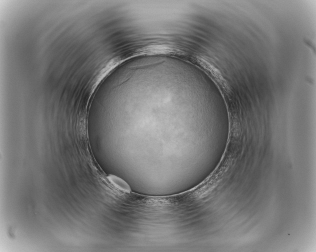 X0000098111473200804181439