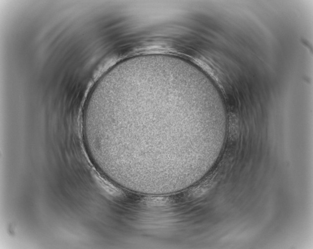 X0000098111474200804181438