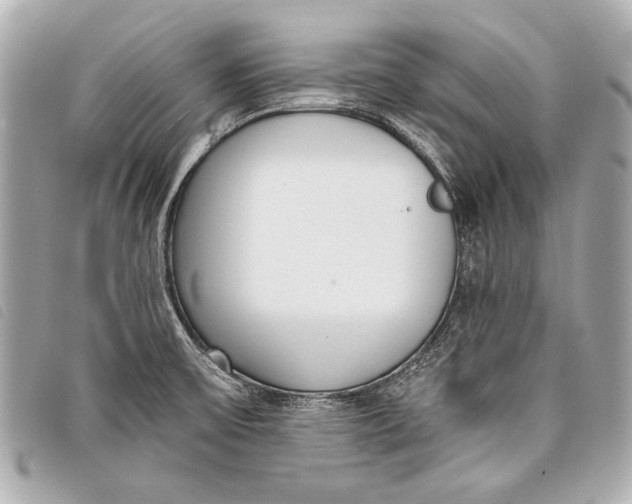 X0000098111475200804181438