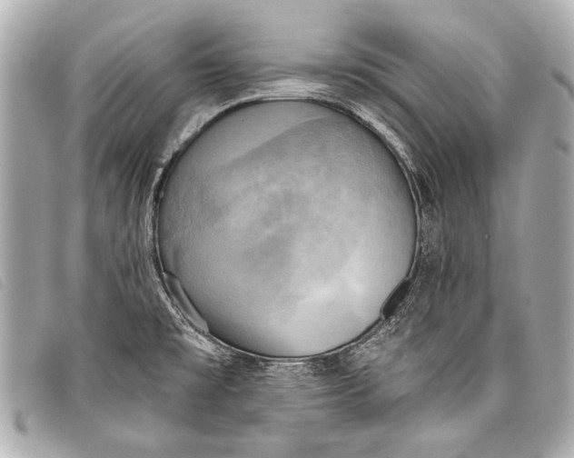 X0000098111477200804181438