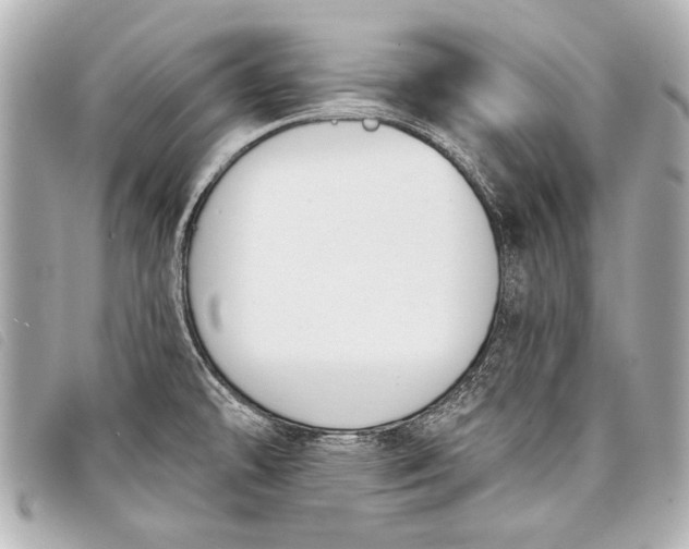 X0000098111478200804181438