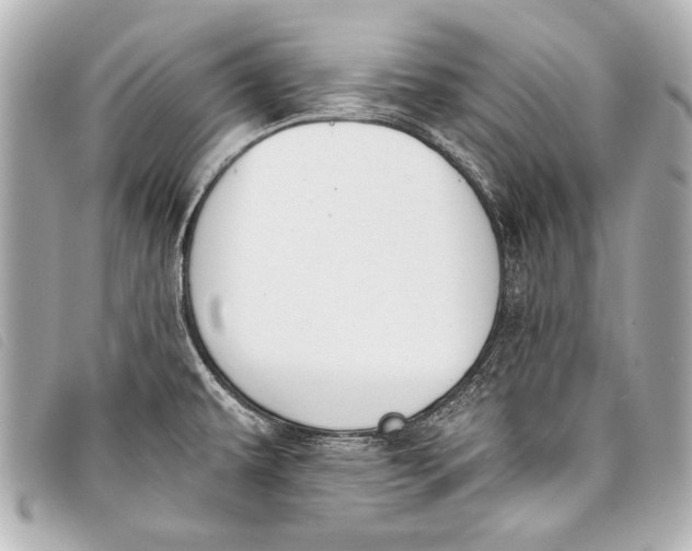 X0000098111479200804181438