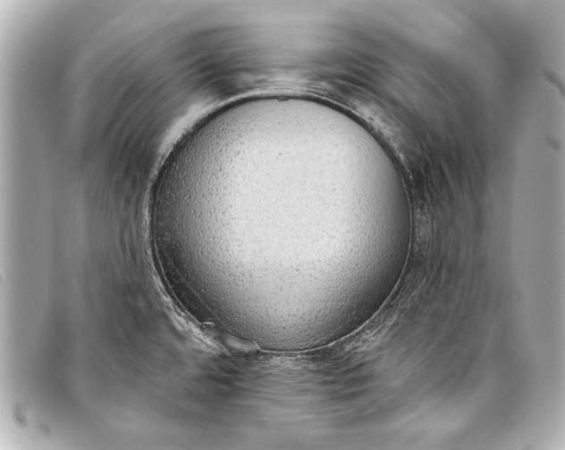 X0000098111480200804181438