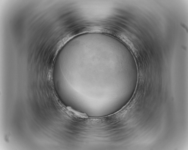 X0000098111481200804181438