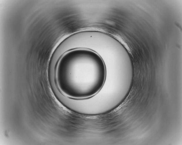 X0000098111484200804181438