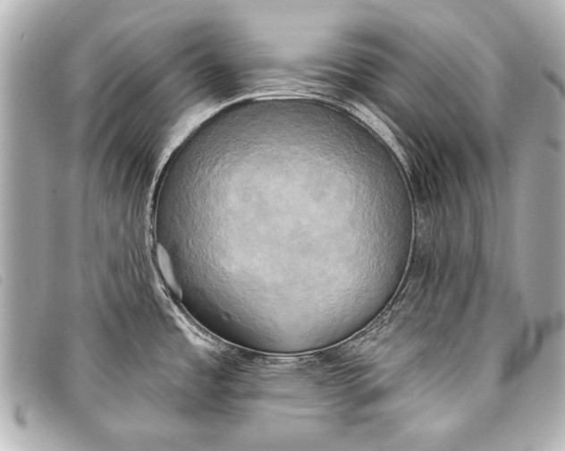 X0000098111485200804181438