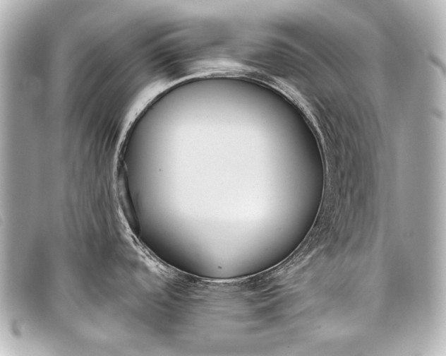 X0000098111488200804181438