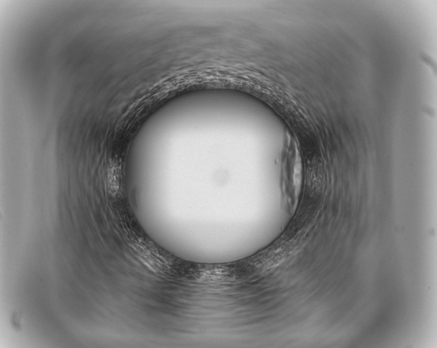 X0000098111490200804181437