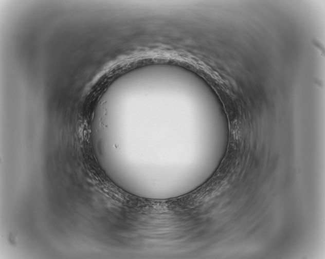 X0000098111495200804181437
