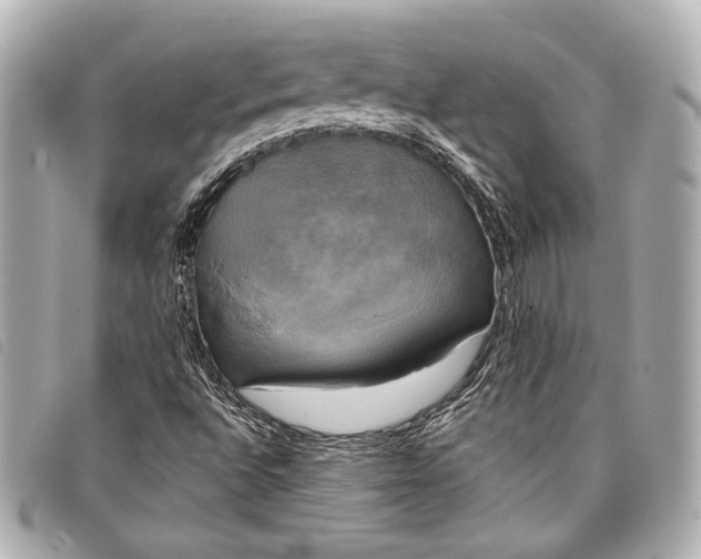 X0000098111496200804181437