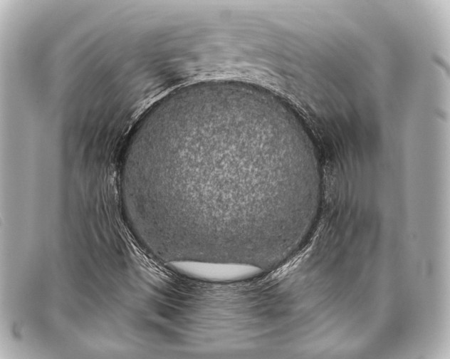 X0000098111497200804181437