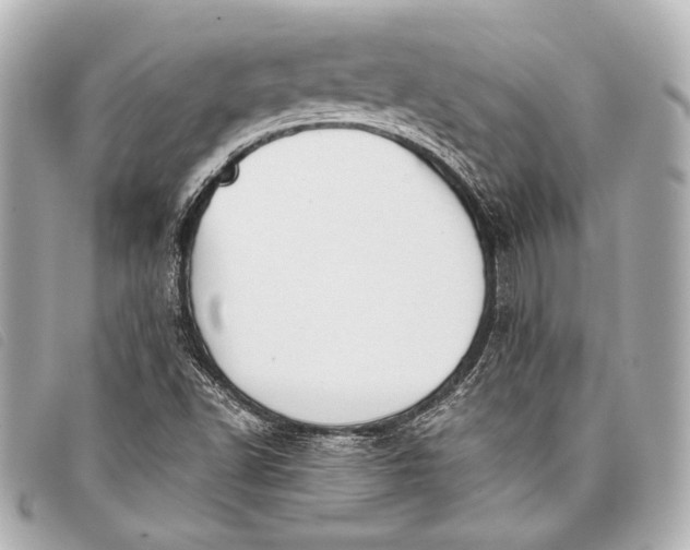 X0000098111502200804181437