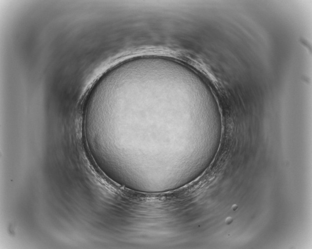 X0000098111504200804181437
