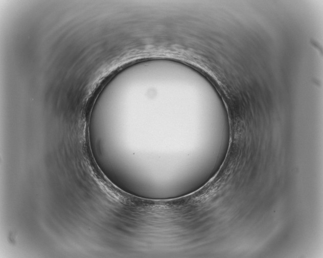 X0000098111507200804181438
