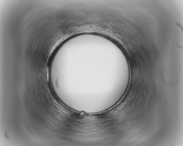 X0000098111509200804181438