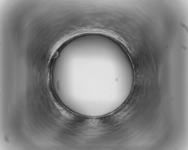 X0000098111511200804181438