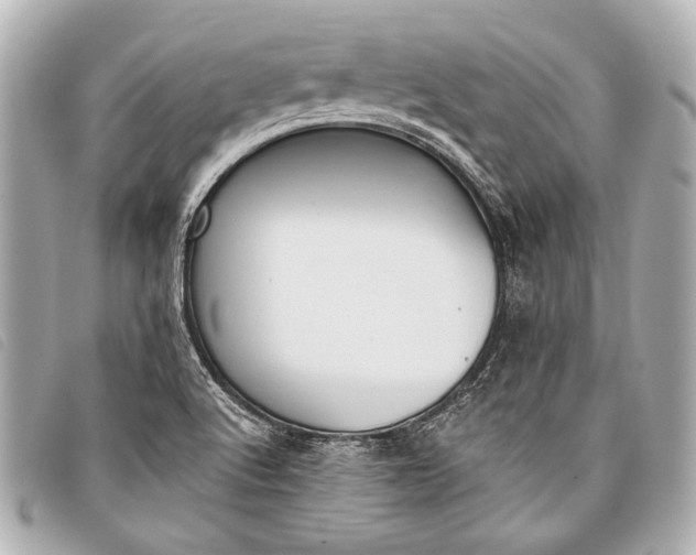 X0000098111512200804181438