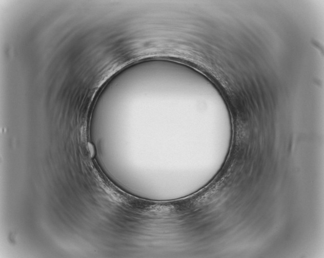 X0000098111513200804181438