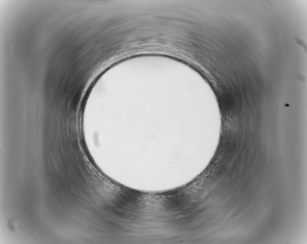 X0000098111514200804181438